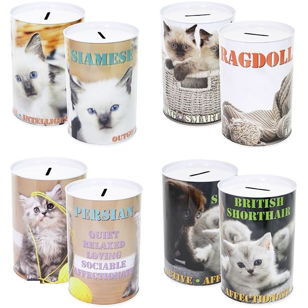 cat-money-tin-10cm-x-15cm-assorted
