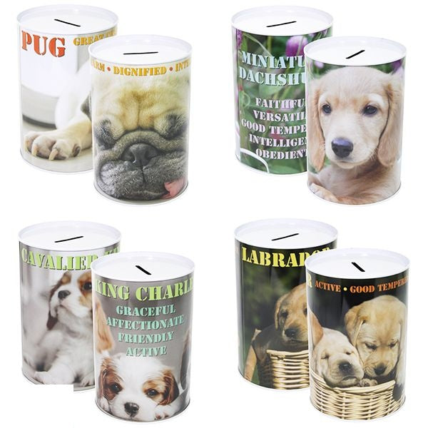 dog-money-tin-10cm-x-15cm-assorted