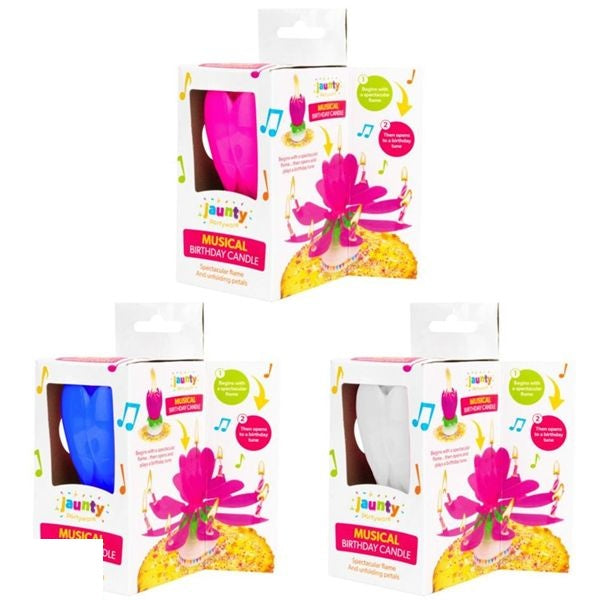 jaunty-partyware-musical-birthday-candle-assorted-colours