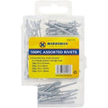 marksman-assorted-rivets-100pc