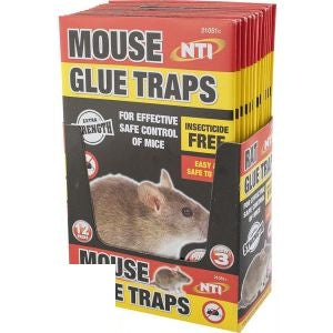 mouse-glue-traps-3-pack