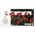 rowan-solar-10-ladybird-led-string-lights